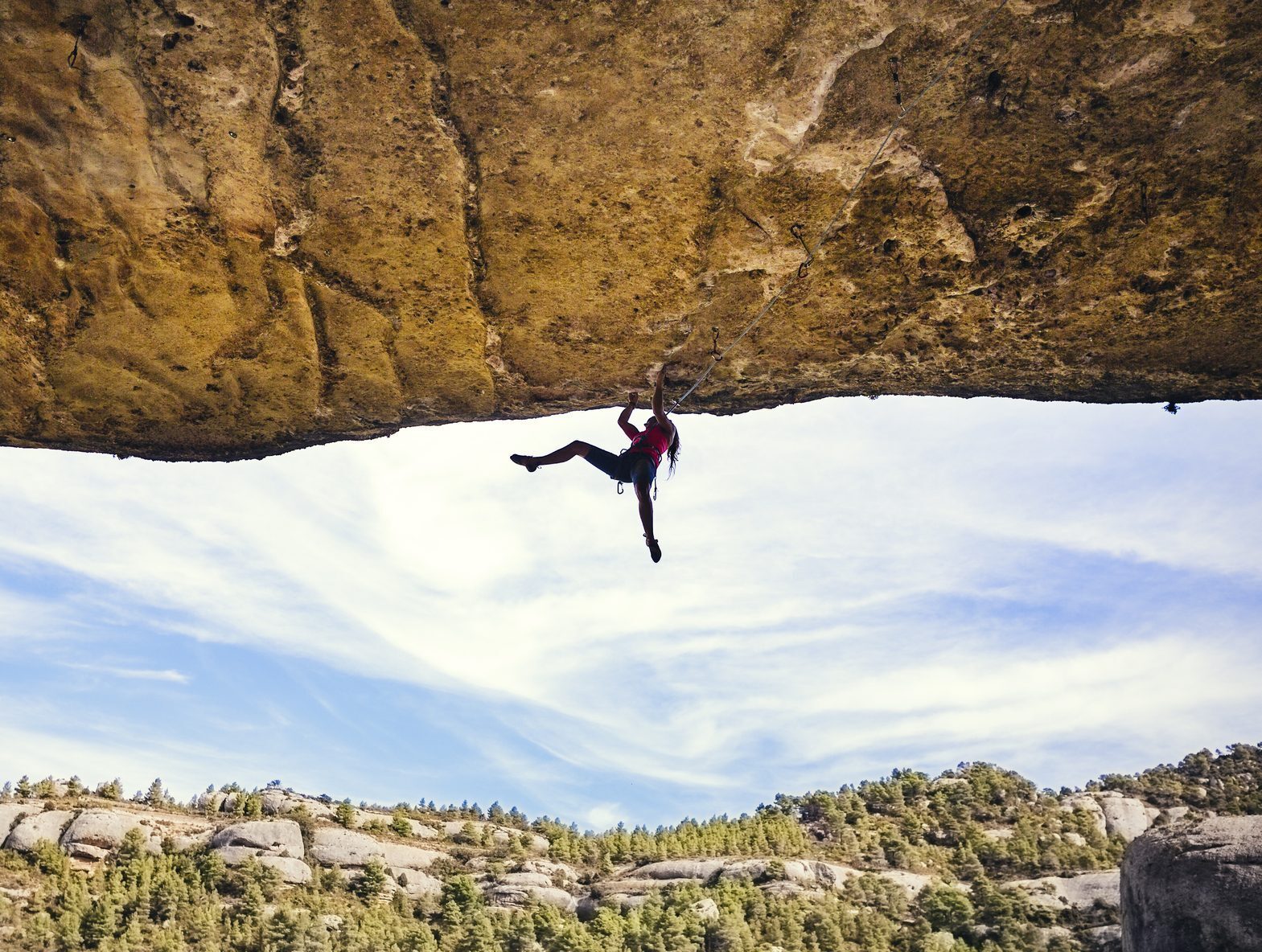 Kompetenzen und Referenzen